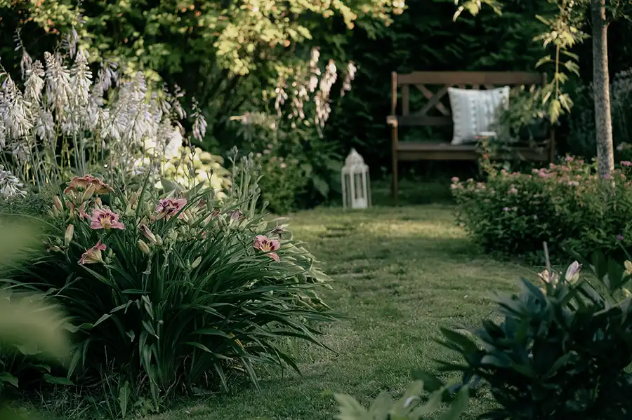 Backyard Landscaping Service