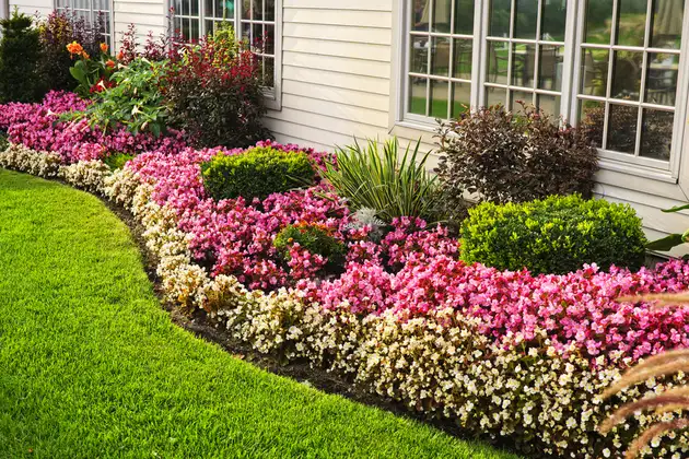 Choosing the Right Trees and Shrubs for Front Yard Landscaping in Westmont, IL Choosing the Right Trees and Shrubs for Front Yard Landscaping in Westmont, IL