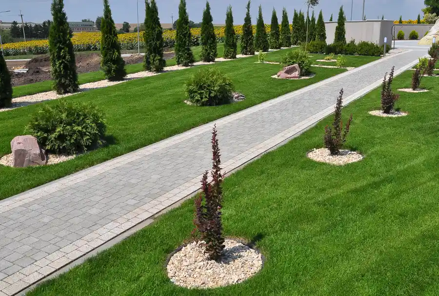 Creative Ideas for Enhancing Your Front Yard Landscape Design in Westmont, IL Creative Ideas for Enhancing Your Front Yard Landscape Design in Westmont, IL