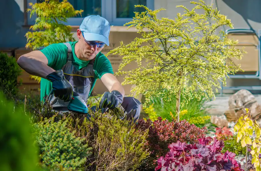 Expert Front Yard Landscaping Service Westmont, IL Expert Front Yard Landscaping Service Westmont, IL
