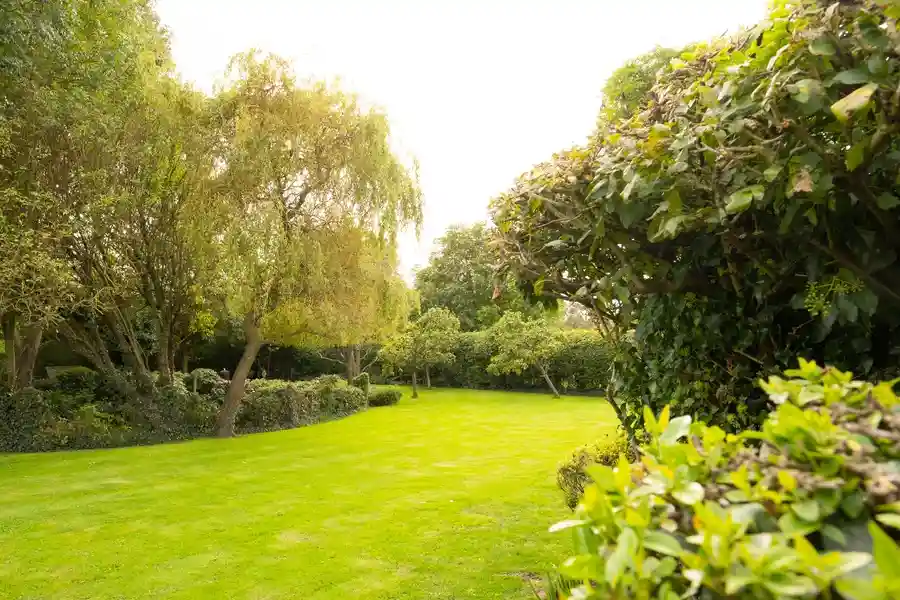 Expert Garden Maintenance Westmont, IL