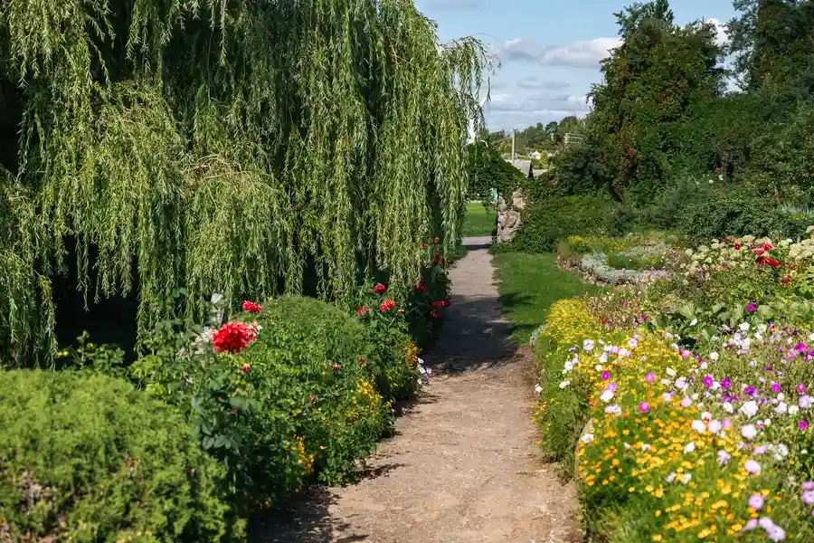 How Garden Maintenance Enhances Outdoor Spaces in Westmont, IL