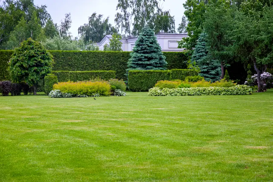 Lanscaping