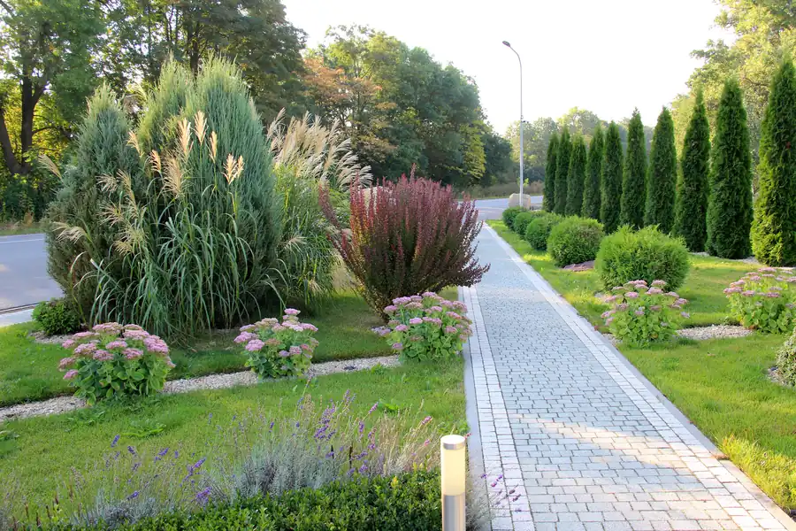 Lanscaping