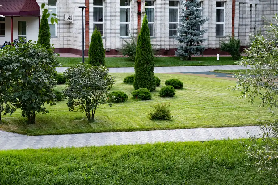 Lanscaping