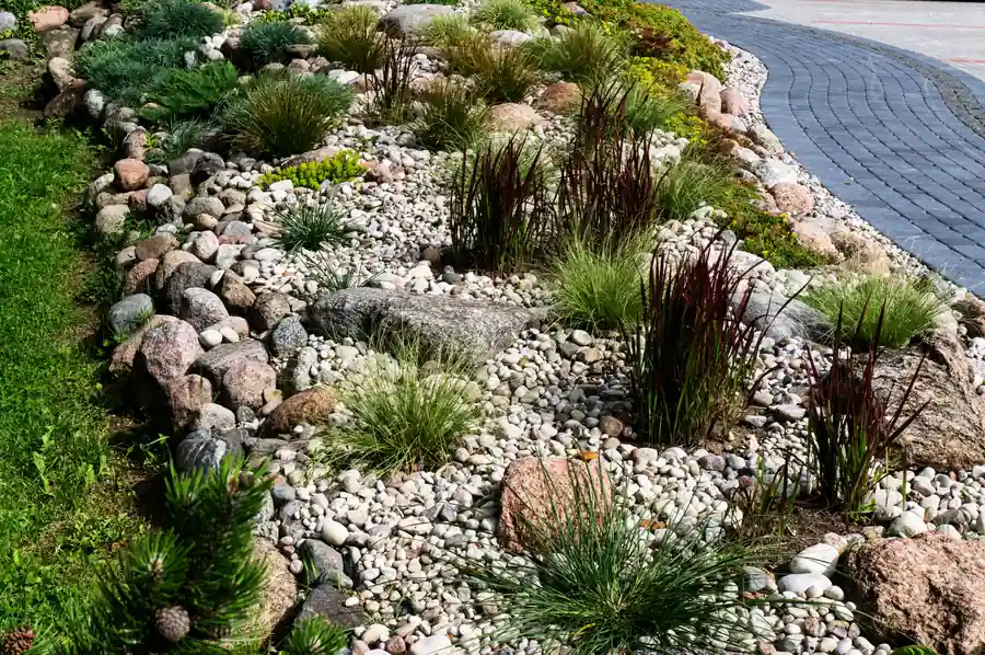 Lanscaping