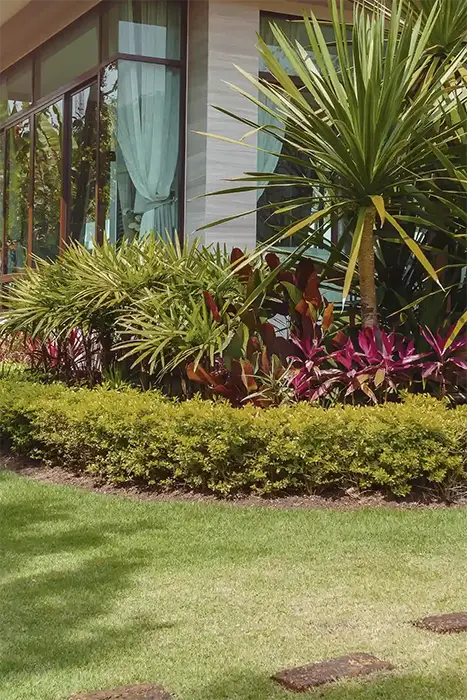 Premium Landscaper