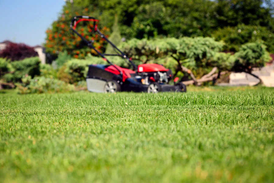 Professional Front Yard Landscaping Service Westmont, IL Professional Front Yard Landscaping Service Westmont, IL