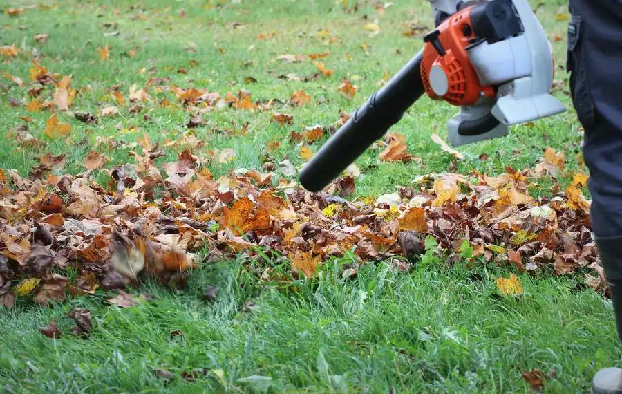 Reliable Backyard Landscaping Service Westmont, IL Reliable Backyard Landscaping Service Westmont, IL
