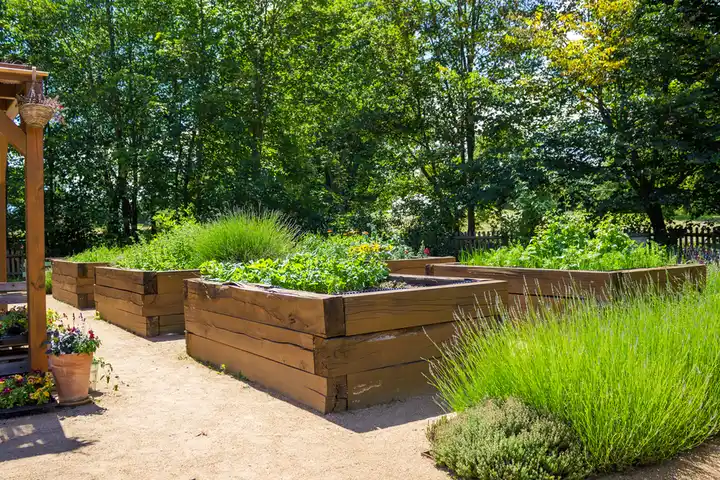 The Benefits of Professional Backyard Landscaping Services in Westmont, IL The Benefits of Professional Backyard Landscaping Services in Westmont, IL