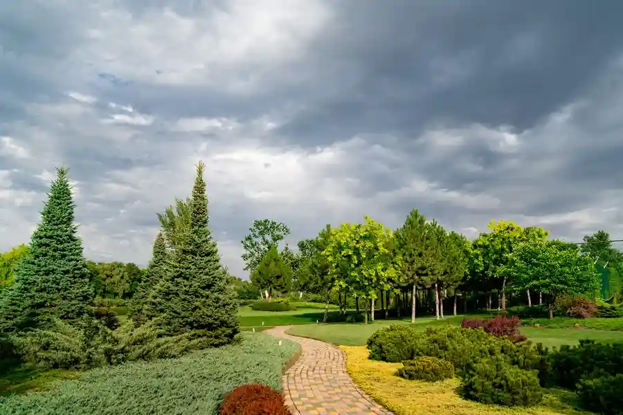 Top-rated Garden Maintenance Westmont, IL