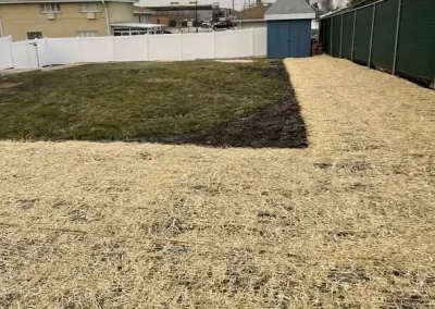 Insured Landscape Contractor
