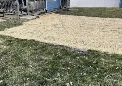 Professional Landscape Maintenance
