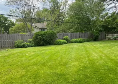 Top-rated Landscape Company